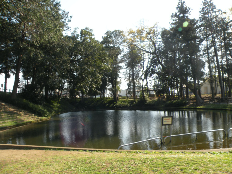 雷電池児童公園1