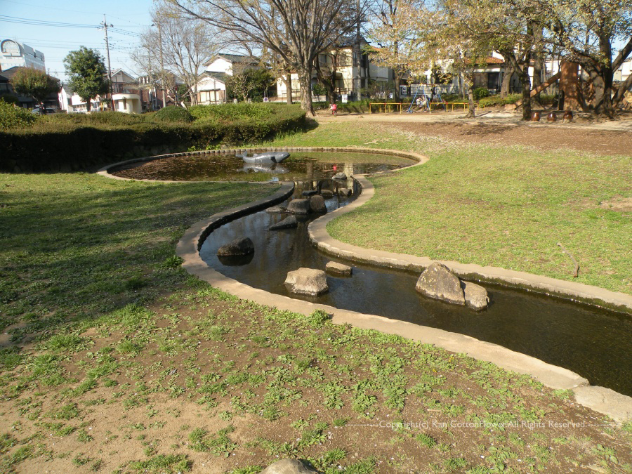 雷電池児童公園2