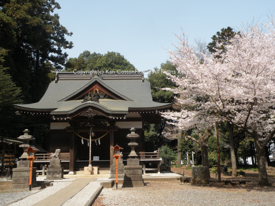 高徳神社１