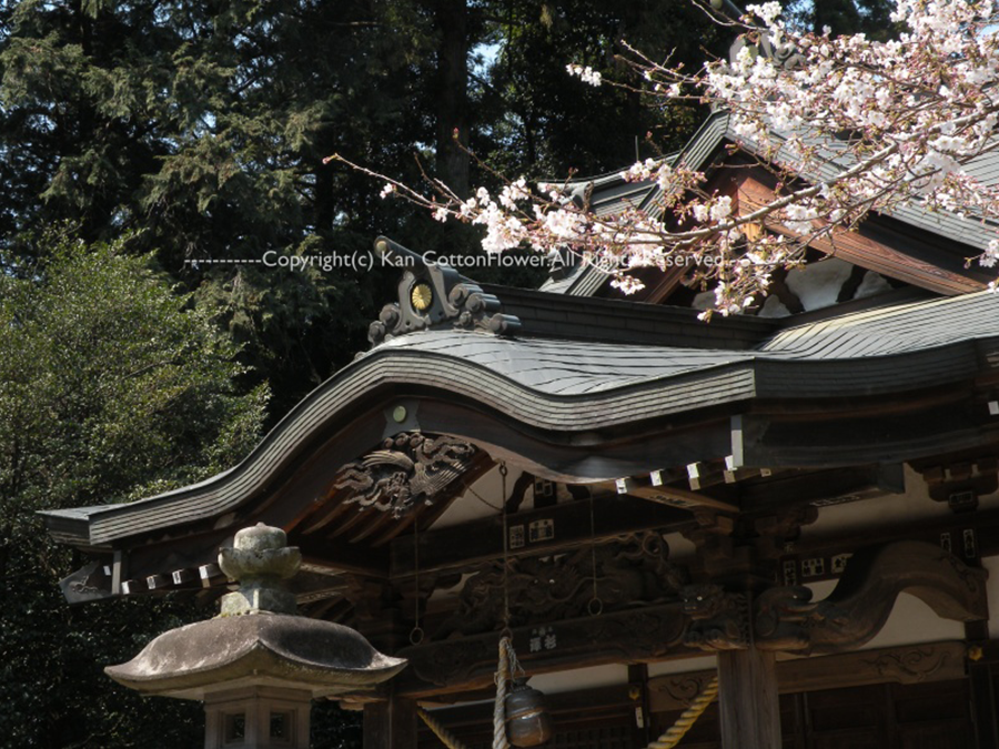 高徳神社２