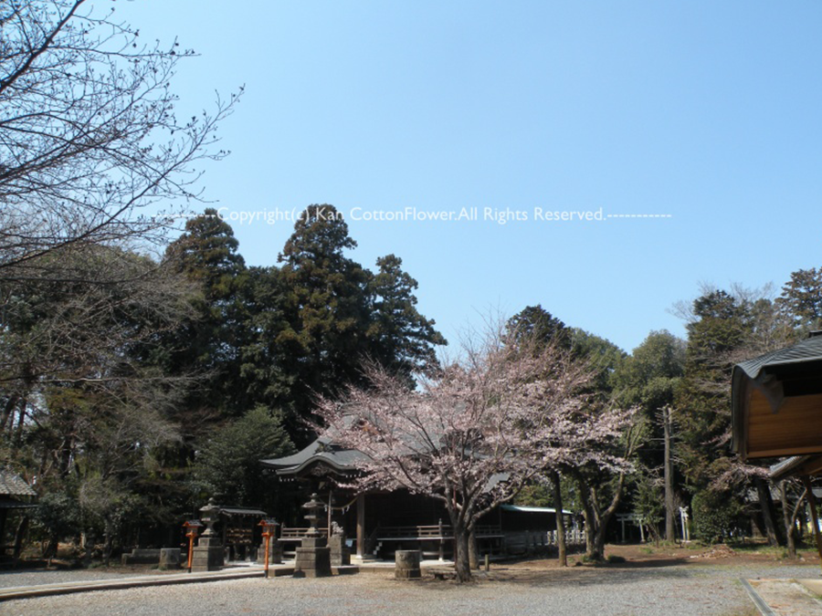 高徳神社３